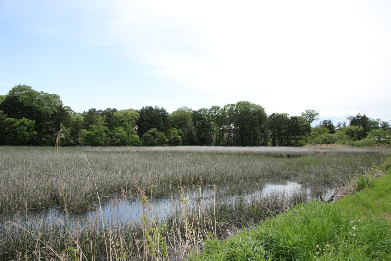 ため池の全景