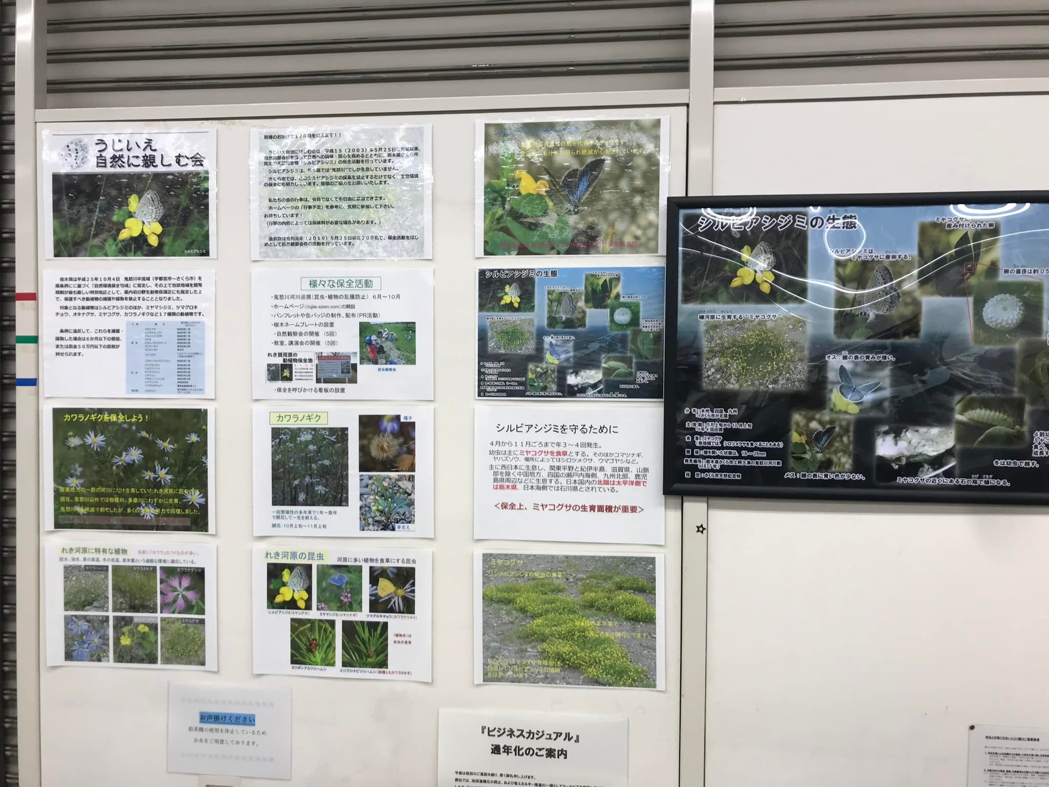 展示状況１