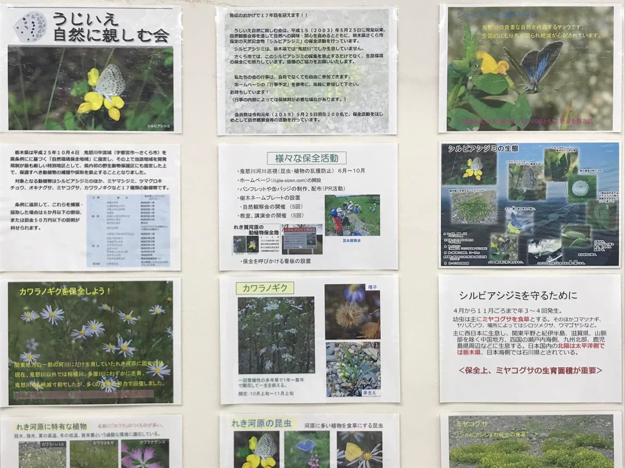 展示状況２