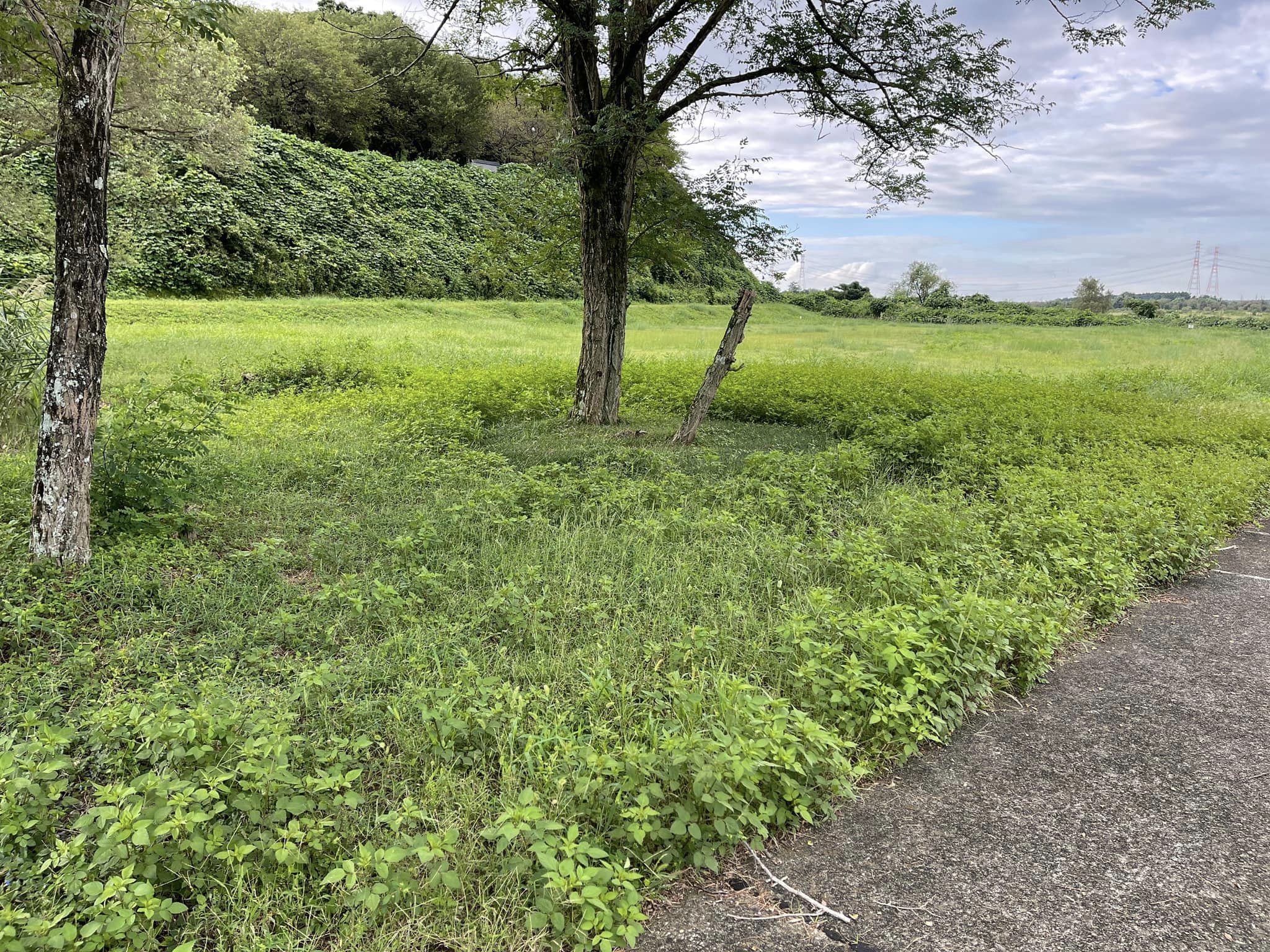 隣接する広場