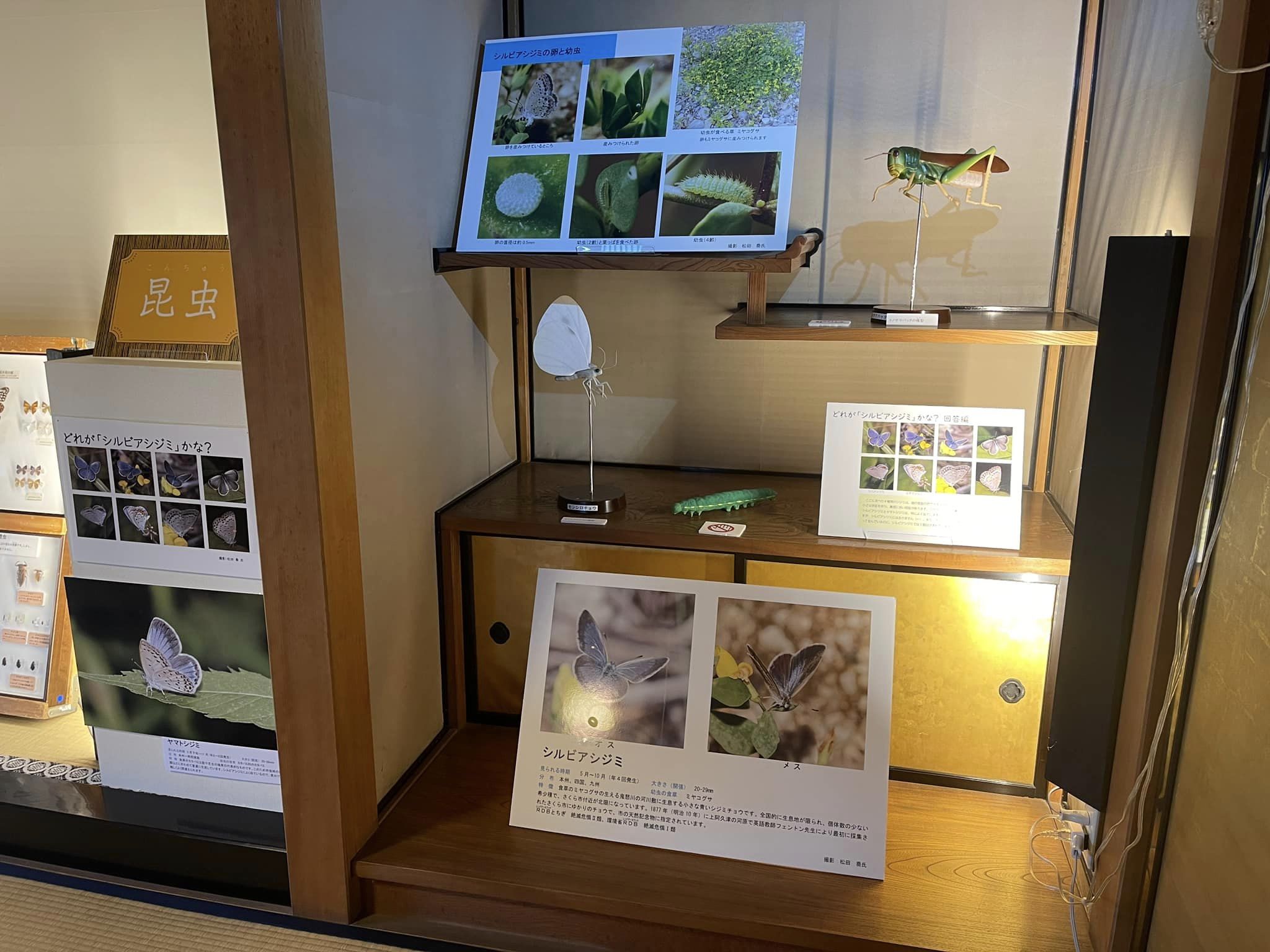 展示物