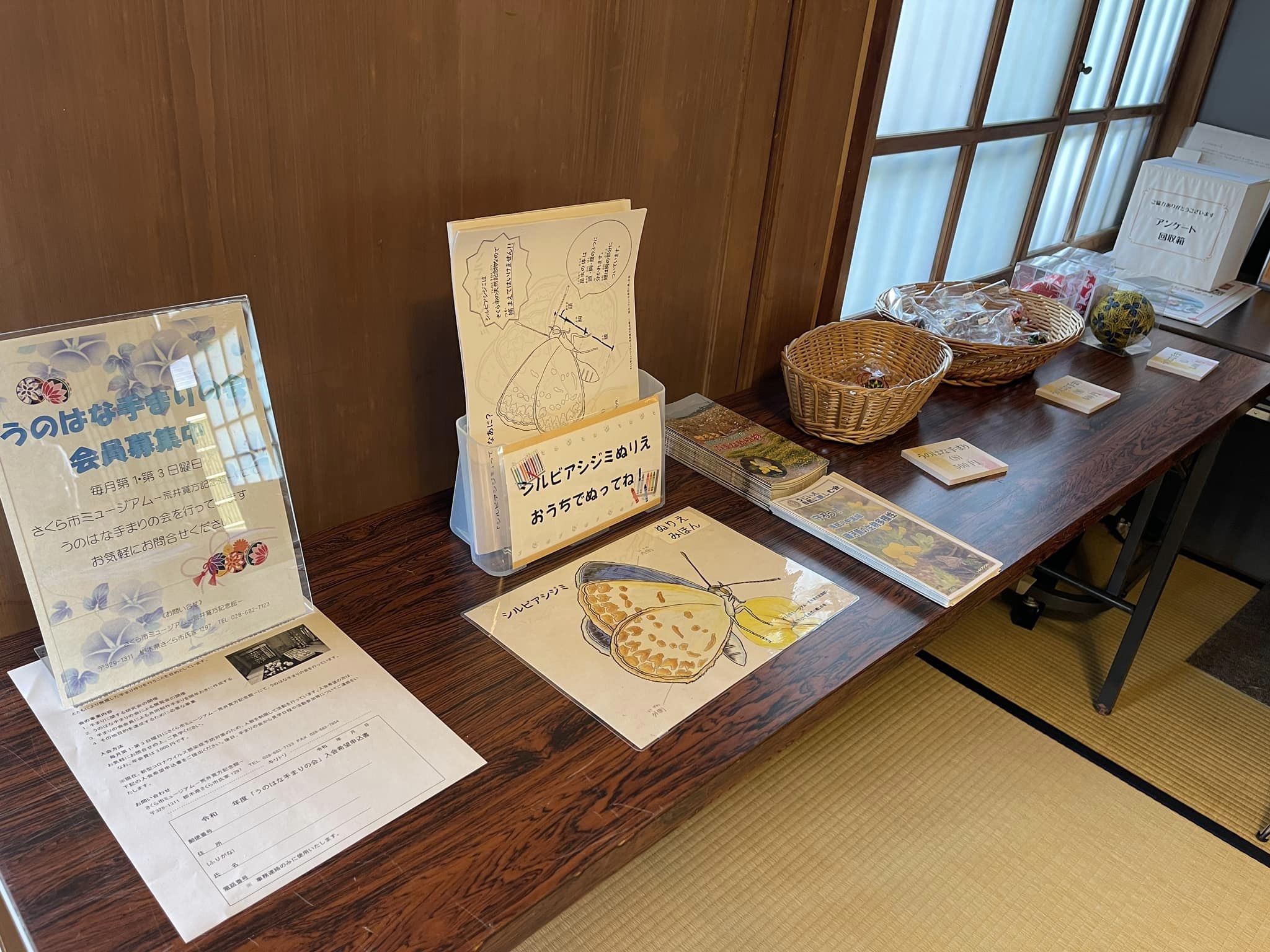 配布物など