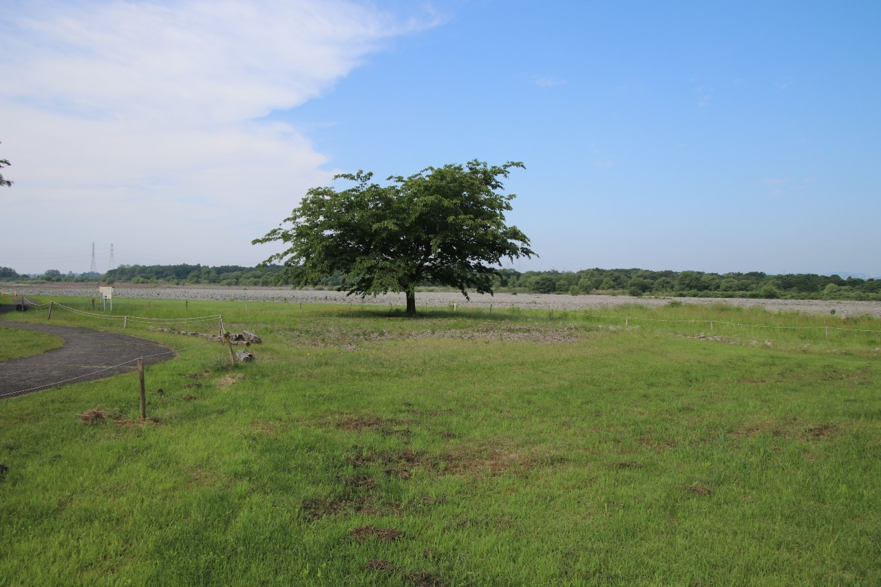 管理地の全景
