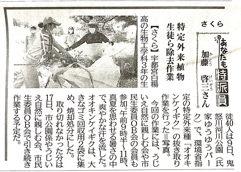 掲載記事