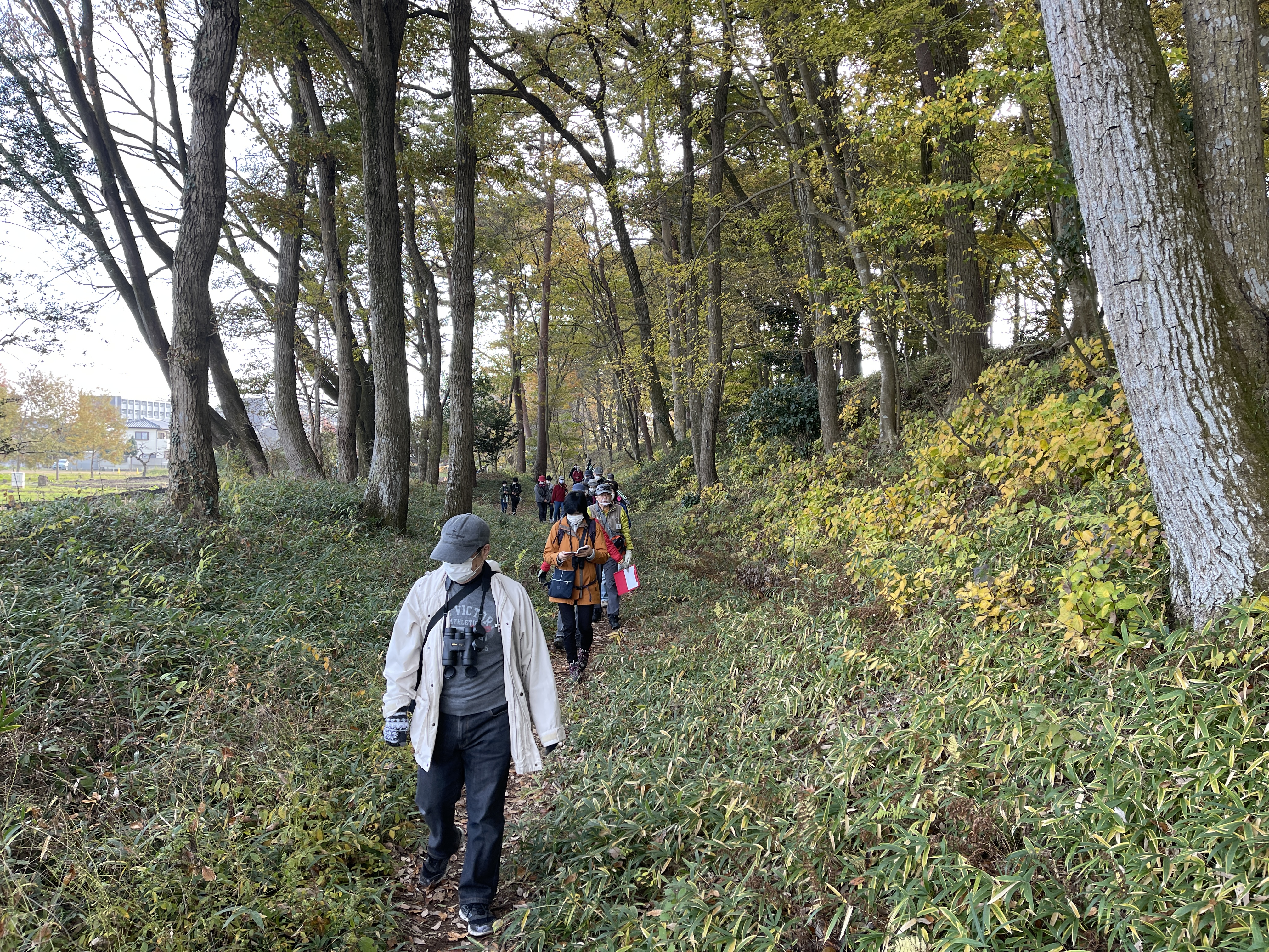 勝山公園周辺
